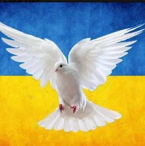 Meet your Posher, Jane